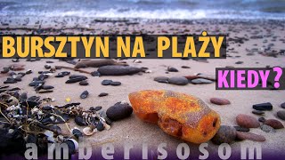 KIEDY BURSZTYN NA PLAŻY  czyli jak prognozować wysypy bursztynu [upl. by Eelessej]