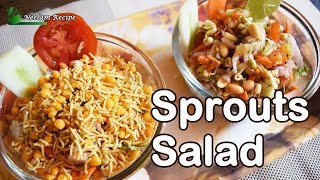 Sprouts Salad Chaat  Quick weight loss and summer special salad [upl. by Ashli176]