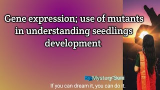 Gene expression use of mutants in understanding seedlings development  easy notes [upl. by Bjorn]