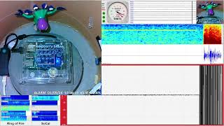 M 42  1 km W of Lytle Creek CA 1524  RaspberryShake 4D Seismograph RD29A  Chino Hills CA [upl. by Micki]