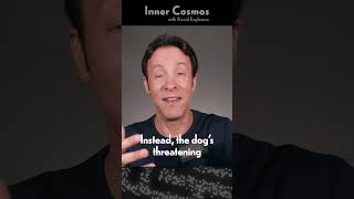 Consider a Situation Like This  INNER COSMOS WITH DAVID EAGLEMAN shorts [upl. by Anillek]