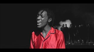 Nel Ngabo  Want You Back Official Music Video [upl. by Vala]