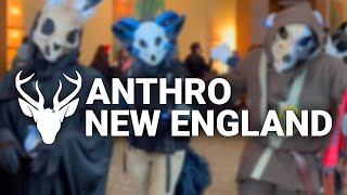 Anthro New England 2023 Fursuit Parade [upl. by Joellyn29]