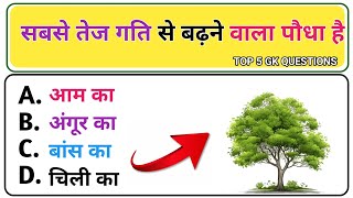 top 5 gk questions in hindi  gk ke top 5 questions  general knowledge [upl. by Namyl]