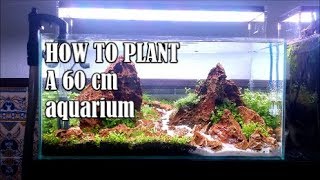 How to plant a 60cm aquarium [upl. by Nylg]