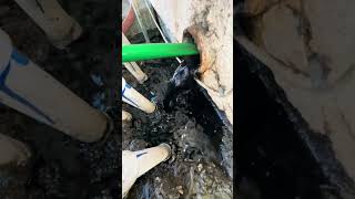 Restoring an 89 Year Old Cast Iron Pipe plumbing shorts [upl. by Shapiro]