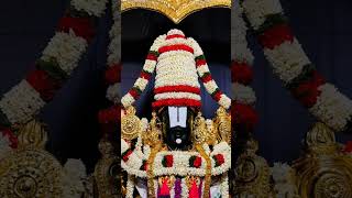 lordvenkateswaradevotionalsonggovindayani koluvaretrendingshortvideo [upl. by Richy151]