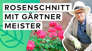 Bodendecker Rosen richtig zurückschneiden 🌹✂️ vom Gärtnermeister erklärt [upl. by Adnoma]