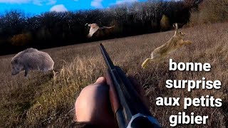 7 chasse chien darrêt et petit gibier 20212022 faisan lièvre sanglier calibre 410 et cal 12 [upl. by Varien]