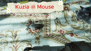 Kuzia  mouse Stop Motion animation 4k [upl. by Titos]