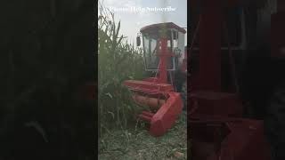 Wow Agriculture Harvest Corn And Vegetable Farm 0 Village Corns Fruits [upl. by Yrellam636]