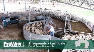 ProWay Sheepyards  Lucindale South Australia [upl. by Anoved]