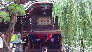 Rokkakudo Temple  Birthplace of quotIkebanaquot Japanese Flower Arrangement Kyoto City [upl. by Yetty]