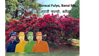 Guransai Phulyo  1974 AD  गुरासै फुल्यो  1974 AD [upl. by Vachell]