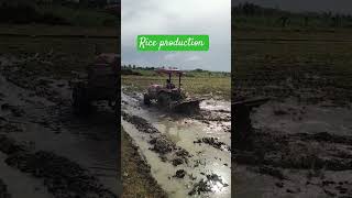 Land preparation Rotavator farming agriculture rice farming is life [upl. by Mahgirb]