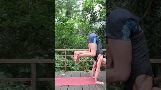 New on my YouTube account A full on traditional Ashtanga Yoga Led Class [upl. by Aicenra]