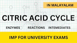 CITRIC ACID CYCLE detailed explanation in Malayalam  Learn In [upl. by Miki]