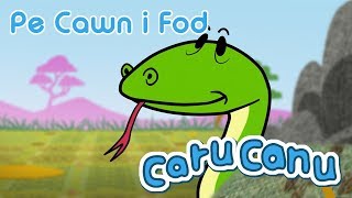 Caru Canu  Pe Cawn i Fod Welsh Childrens Song [upl. by Ninnetta235]