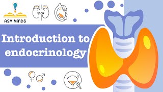 1Introduction to Endocrinology by ASM Minds Team [upl. by Imotas]