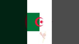 Morocco vs Algeria countryball [upl. by Seravaj]