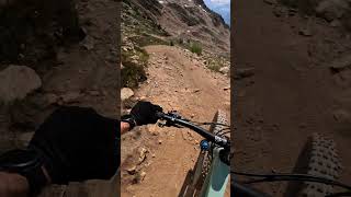 Top of the World at Whistler Bike Park [upl. by Dleifxam411]