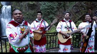 Huichol Musical  Mañana Que Ya No Estes Video Oficial [upl. by Walcott679]