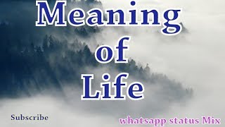 Meaning of Life  Quotes video  Whatsapp status MIX  30 seconds  Maturity Kids [upl. by Mattox]