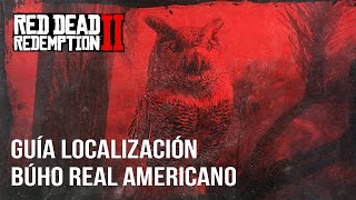 Red Dead Redemption 2  Guía Localización Búho Real Americano [upl. by Arahk]