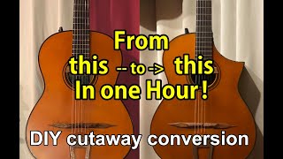 1 hour DIY Cutaway conversion complete video [upl. by Bond]