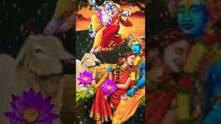 bhakti radha Rani shivay bhajn tranding song virle video premand [upl. by Hennessey]