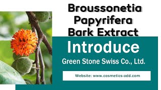 Broussonetia Papyrifera Bark Extract [upl. by Caryn]