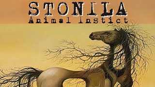 Stonila  Animal Instinct Collection 2020 Compilation [upl. by Atled]