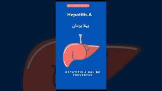 Why Hepatitis A is Spreading shorts hepatitis youtubeshorts [upl. by Manley]