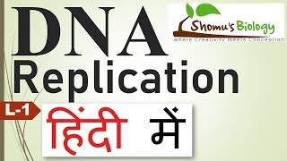 DNA replication in hindi [upl. by Kcirtap]