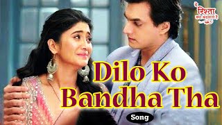 Dilo Ko Bandha Tha  Full Sad Song  Navin Tripathi  Alka Yagnik  Ye Rishta Kya Kehelata Hai [upl. by Ainadi]