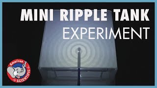 STEM Experiment Ripple Tank [upl. by Dlanod620]