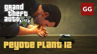 Peyote Plant 12 — GTA 5 [upl. by Casmey724]