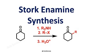 Stork Enamine Synthesis [upl. by Einaoj]