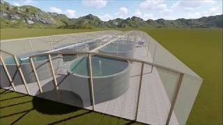 Estudo de Projeto de Aquaponia [upl. by Allcot]