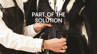 Part of the Solution  teaser [upl. by Etteloiv955]