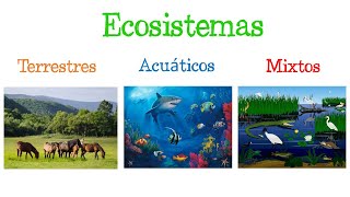 🌎 Los ECOSISTEMAS y sus TIPOS 🐝 Fácil y Rápido  BIOLOGÍA [upl. by Signe641]