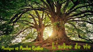 Larbre de vie The Tree of LifeMusique amp Paroles Le monde dEpsilon [upl. by Dylane108]