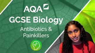 AQA GCSE Biology Antibiotics and Painkillers [upl. by Brook]