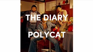 The Diary  POLYCAT karaoke [upl. by Buckley808]