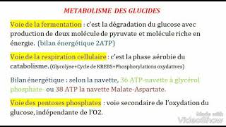 La Biochimie métaboliquepetit résumé S4 [upl. by Anna]