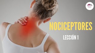 1 NOCICEPTORES FISIOLOGÍA DEL DOLOR [upl. by Ain876]