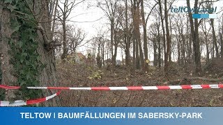 TELTOW  BAUMFÄLLUNGEN IM SABERSKYPARK [upl. by Eleanor]