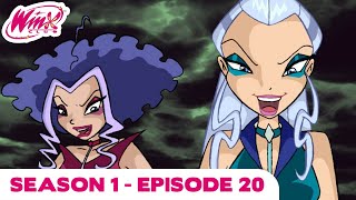 Winx Club  Season 1 Episode 20  Mission to Domino  FULL EPISODE [upl. by Aesoh]