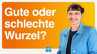 Gute oder schlechte Wurzeln – Livestream vom 08 Oktober 2023 [upl. by Buxton]