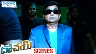 Brahmanandam Dynamic Entry  Dohchay Telugu Movie Scenes  Naga Chaitanya  Kriti Sanon  Sapthagiri [upl. by Roley]